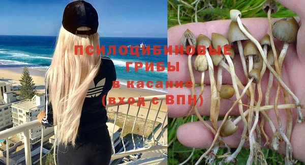 стафф Богородицк