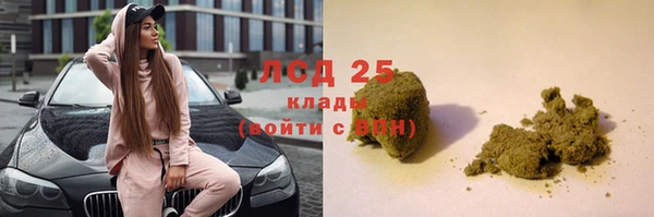 прущие крисы Бородино