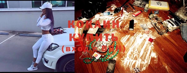 прущие крисы Бородино