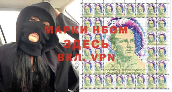 прущие крисы Бородино