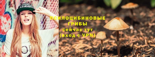 мдпв Бронницы