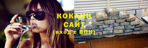 прущие крисы Бородино