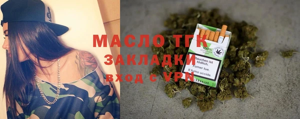 прущие крисы Бородино