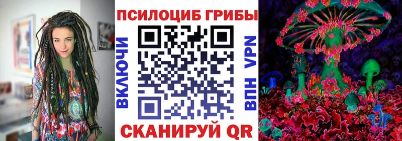 Псилоцибиновые грибы GOLDEN TEACHER  Купить  Чусовой 